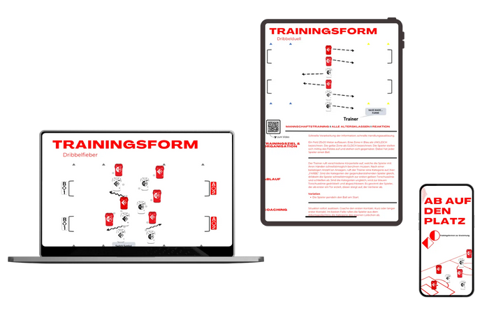 Starterhandbuch für das Mannschafts- und Individualtraining | matchconcept UG | Kognitives Training Fussball and Scanning Fussball