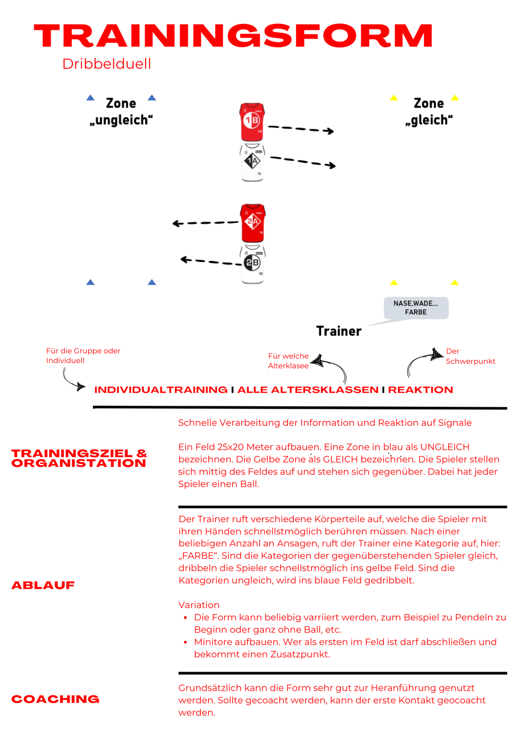 Starterhandbuch Individualtraining